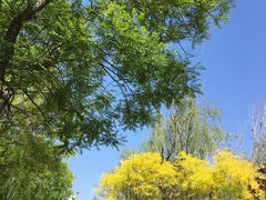 -武清南湖绿博园