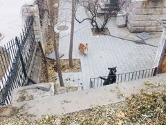 -不止轰趴独栋别墅户外烧烤(颐西庄园店)