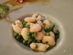 -西郊5号·Maggie 5