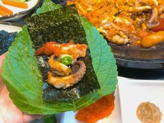 -红辣椒八爪鱼特色韩国料理