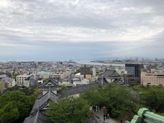 -鸟贵族(天王寺北口店)