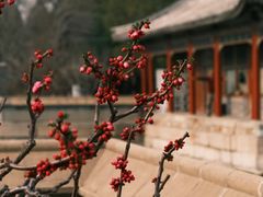 -颐和园