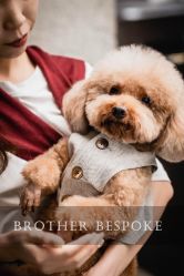 -Brother西服礼服定制·商务·婚礼(佛山南海店)