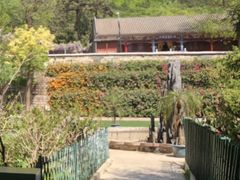 -红螺寺