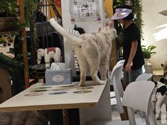 -小时光咖啡馆(北锣鼓巷店)