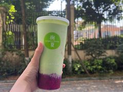 -树夏(建设路店)
