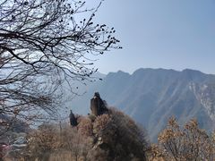 -秦岭终南山世界地质公园翠华山景区
