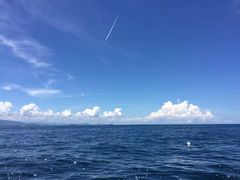 -东姑阿都拉曼海洋公园