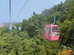 -摩天岭风景区