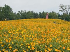 -同里国家湿地公园