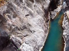 -广州白江湖森林公园