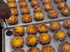 -格瑞思动物奶油生日蛋糕(园区永旺店)