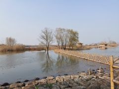 -池杉湖湿地公园