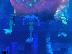 -南昌融创海世界