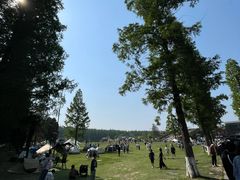 -黄海国家森林公园