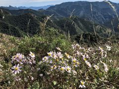 -灵山