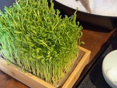 -捞王猪肚鸡火锅(昆山店)