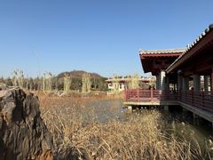 -洛阳古墓博物馆