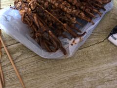 -十里铺铁板鱿鱼