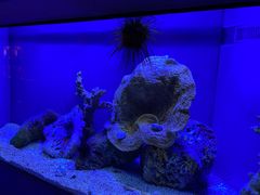 -上海海洋水族馆