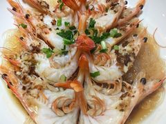 -新白鹿餐厅(百联中环店)