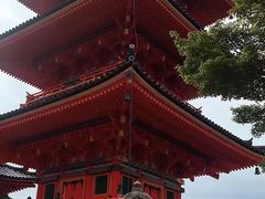 -奈良公园