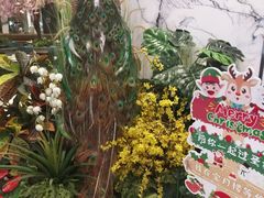 -宝月楼·台湾菜馆(天河城店)
