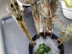 -马家斑.鲜鱼火锅(松湖万科店)