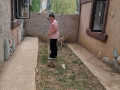 -北戴河集发农业梦想王国