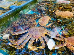 -船奇蒸汽海鲜·闽菜(八市海鲜总店)