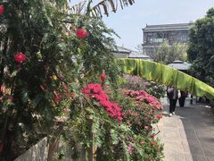 -瑞丰园庭院餐厅·白族传统家常菜