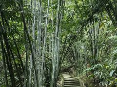 -沐川竹海旅游景区