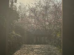 -木子山庄·安徽省老字号·中国炖锅宴