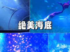 -威海华夏城景区