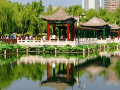 -莲花池公园