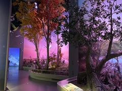 -中国湿地博物馆