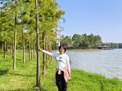 -上海海湾国家森林公园