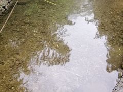 -山沟沟景区