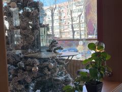 -姆们M Sweetie Cake(五道口店)