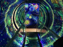 -梵高星空艺术馆(北京旗舰店)
