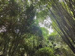 -望江楼公园