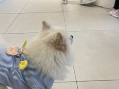 -怪兽屋·羊驼·猫咖·狗咖(俊华广场店)