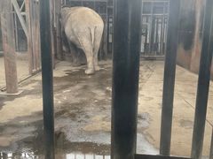 -新疆天山野生动物园