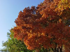 -北京西山国家森林公园