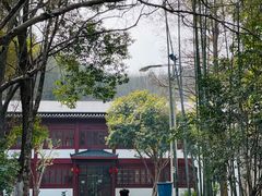 -青龙山国家森林公园