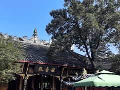 -古大圣慈寺