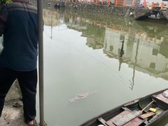 -欢姐伦教糕(北海大道北店)