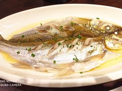 太湖白鱼-王四酒家苏帮菜馆(观前店)