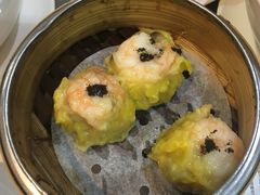 -糖朝(尖沙咀店)