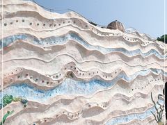 -广东惠东海龟国家级自然保护区